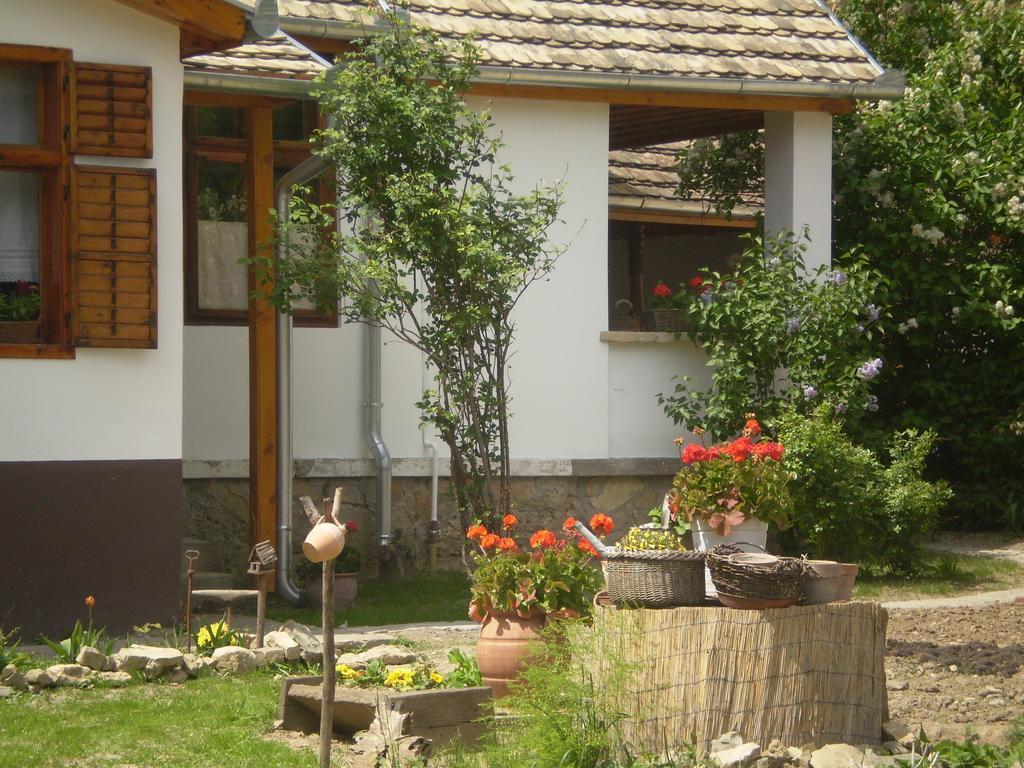 Tulipanos Vendeghaz Appartement Obanya Buitenkant foto