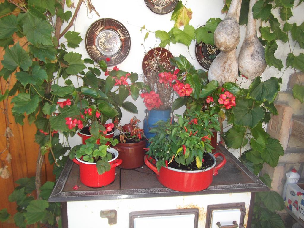 Tulipanos Vendeghaz Appartement Obanya Buitenkant foto